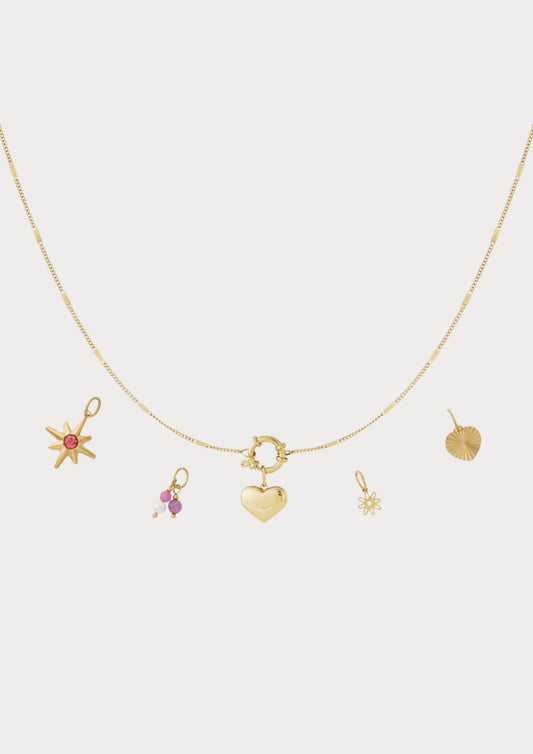 Halsband med 5 utbytbara berlocker