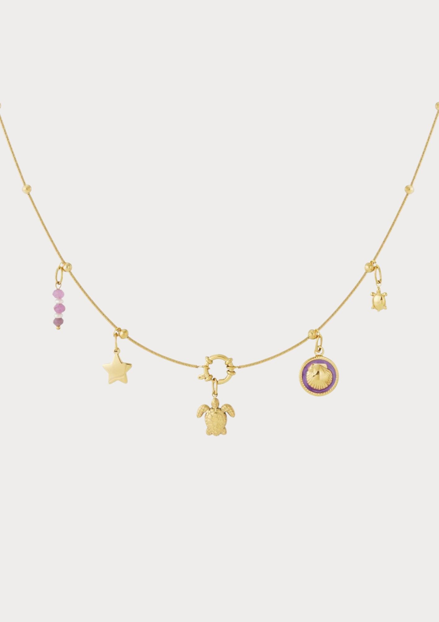 Halsband med 5 utbytbara berlocker