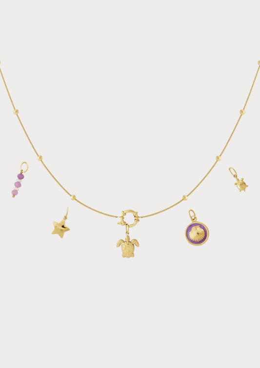 Halsband med 5 utbytbara berlocker